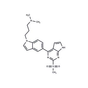 DC-BPi-11