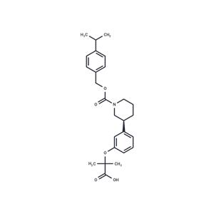 CP-868388 free base