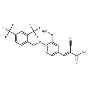 PROTAC ERRα ligand 2