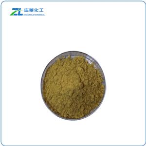 Grape Seed Extract