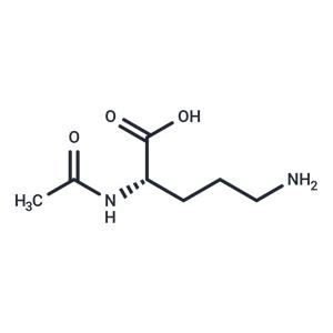 N-Acetylornithine