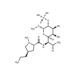 Clindamycin phosphate