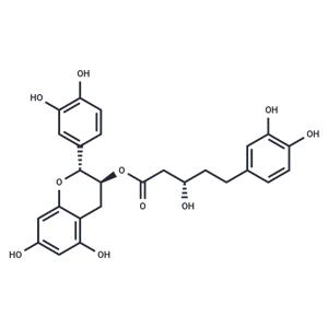 Phylloflavan