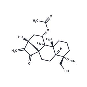 Rosthornin A