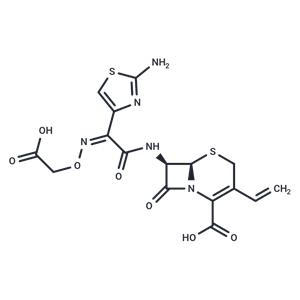 Cefixime