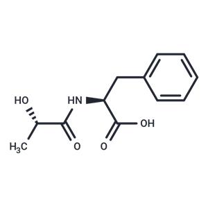 N-Lactoyl-Phenylalanine