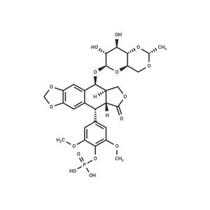 Etoposide Phosphate