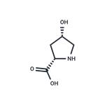 cis-4-Hydroxy-L-proline pictures