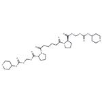 amyloid P-IN-1 pictures