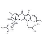 Morellic acid pictures