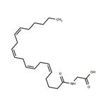 N-Arachidonylglycine pictures