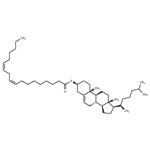 Cholesteryl linoleate pictures