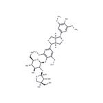 (-)-Syringaresnol-4-O-β-D-apiofuranosyl-(1→2)-β-D-glucopyranoside pictures