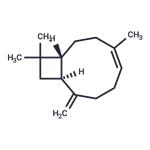 β-Caryophyllene pictures