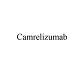 Camrelizumab pictures