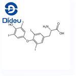 51-48-9 L-thyroxine