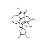 Protostemotinine pictures