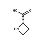 L-Azetidine-2-carboxylic acid pictures