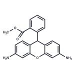 Dihydrorhodamine 123 pictures