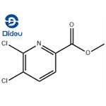 Methyl5,6-dichloropicolinate pictures