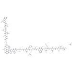 Galanin (1-30), human acetate pictures