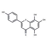 8-Hydroxyapigenin pictures