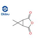 Caronic anhydride pictures