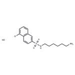 W-9 hydrochloride pictures