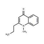 Leptomerine pictures