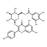 Kaempferol 3-O-(6''-galloyl)-beta-D-glucopyranoside pictures