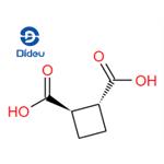 Trans-cyclobutane-1,2-dicarboxylic acid pictures