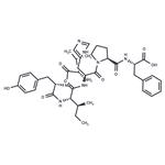 Angiotensin II (3-8), human pictures