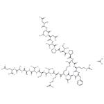 Calcineurin substrate acetate pictures