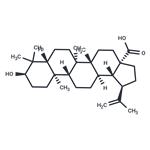 Epibetulinic acid pictures