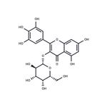 Myricetin 3-O-galactoside pictures