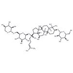 Gynostemma Extract pictures