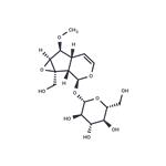 6-O-Methylcatalpol pictures