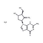 Entecavir monohydrate pictures