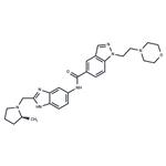 Eleven-Nineteen-Leukemia Protein IN-1 pictures