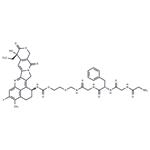 GGFG-amide-glycol-amide-Exatecan pictures