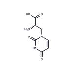 (S)-Willardiine pictures