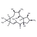 7beta-Hydroxylathyrol pictures