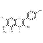 6-Methoxykaempferol pictures