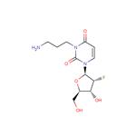 2’-Deoxy-2’-fluoro-N3-(3-aminopropyl)uridine pictures