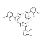 Enterobactin pictures