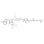 Acetyl Coenzyme A trisodium pictures