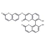 Triumbelletin pictures