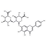 Scutellarin-7-diglucosidic acid pictures