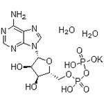 Adenosine 5′-Diphosphate Monopotassium Salt ;ADP-K; 5‘-ADP-K pictures