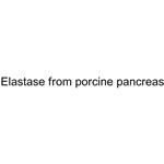 Elastase from porcine pancreas pictures